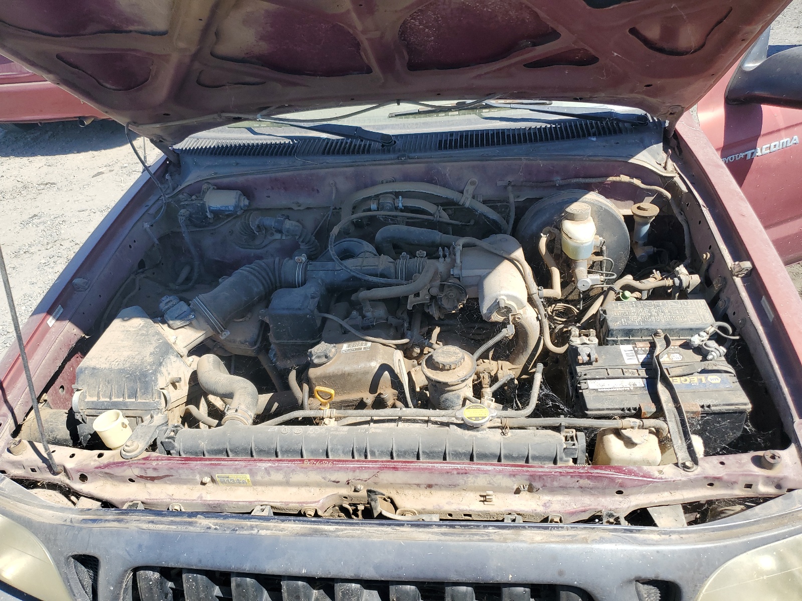 5TENL42N62Z117954 2002 Toyota Tacoma