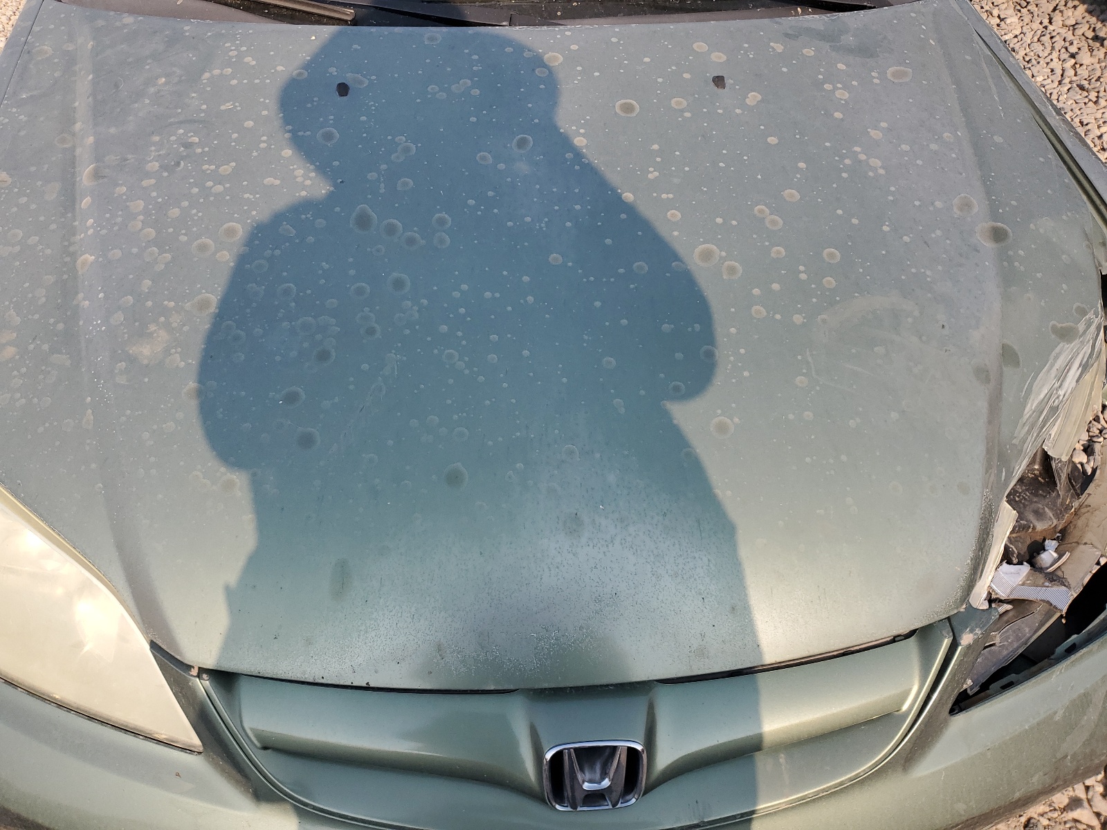 2HGES16384H584741 2004 Honda Civic Dx Vp