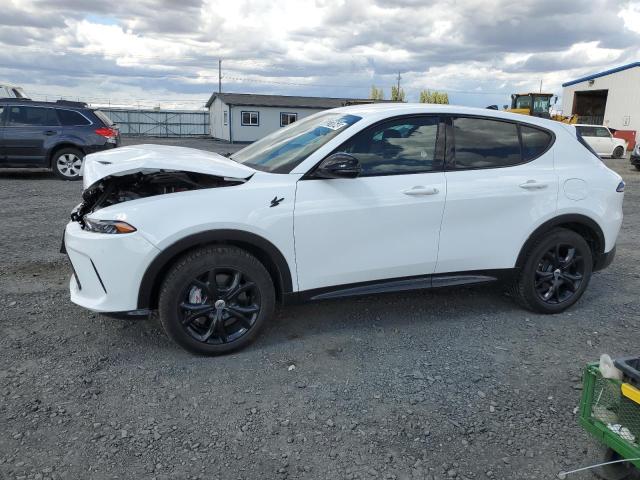  DODGE HORNET R/T 2024 White