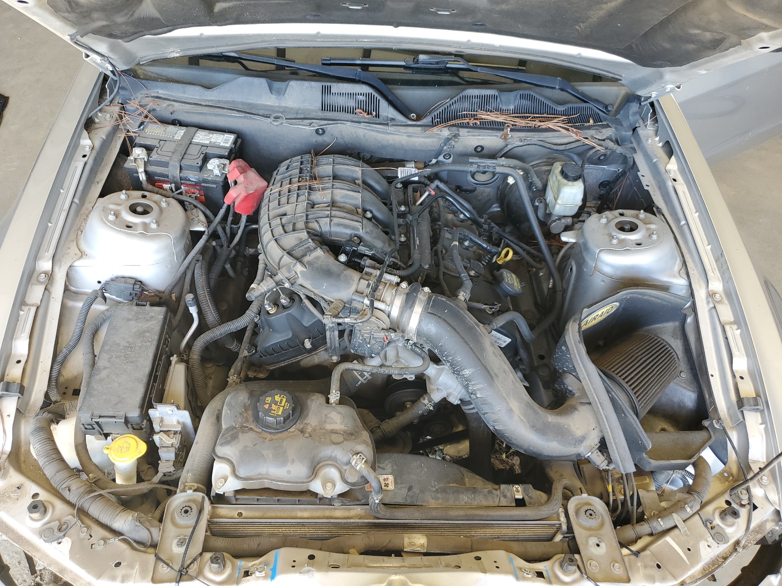 1ZVBP8AM4D5267765 2013 Ford Mustang