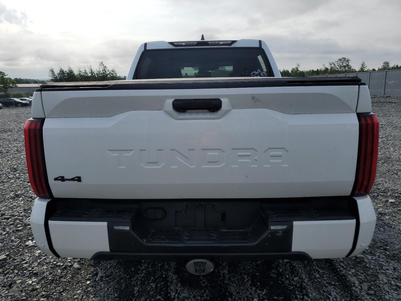 2022 Toyota Tundra Crewmax Sr VIN: 5TFLA5DB2NX004620 Lot: 61367804