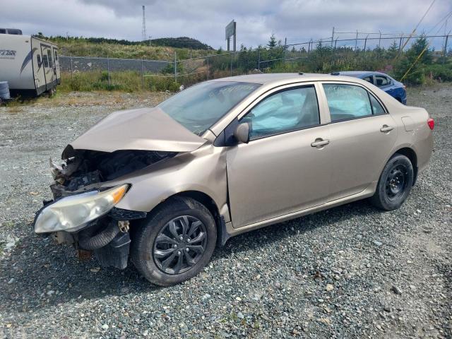 2010 TOYOTA COROLLA BASE à vendre chez Copart NS - HALIFAX
