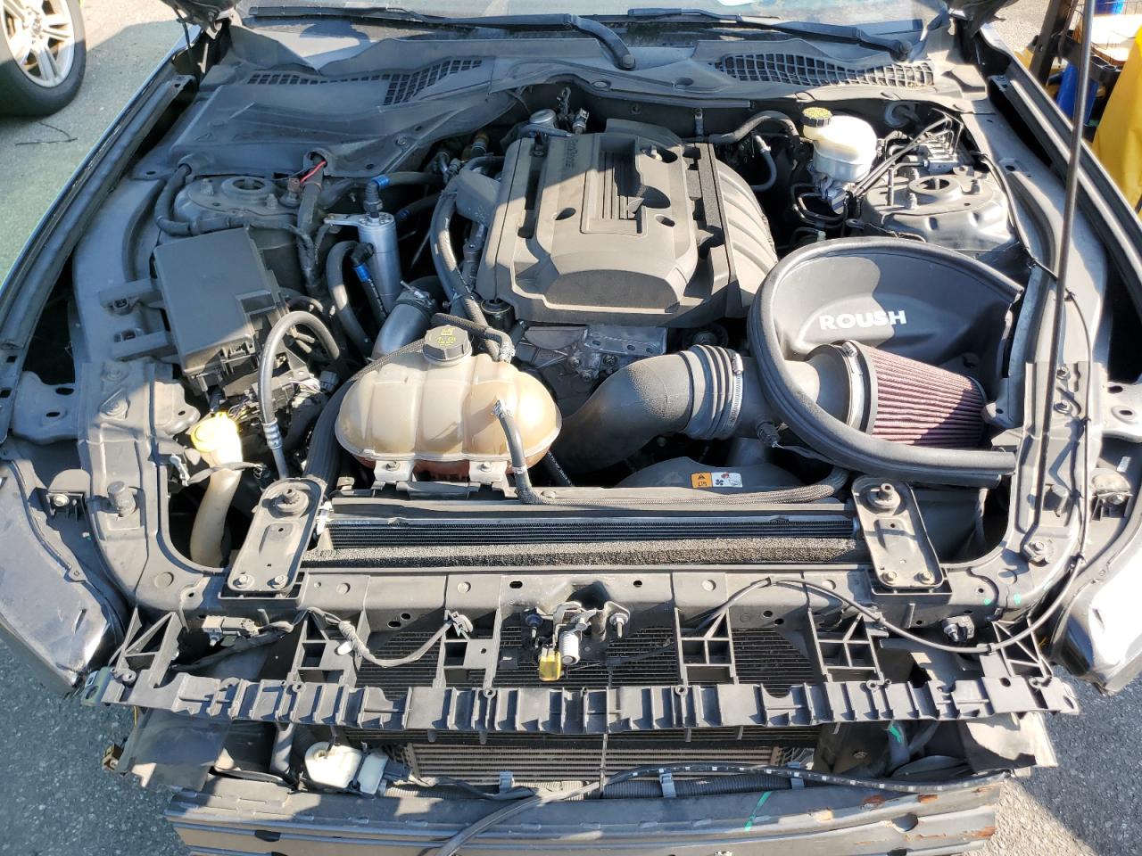 2016 Ford Mustang VIN: 1FA6P8TH8G5323270 Lot: 64639514