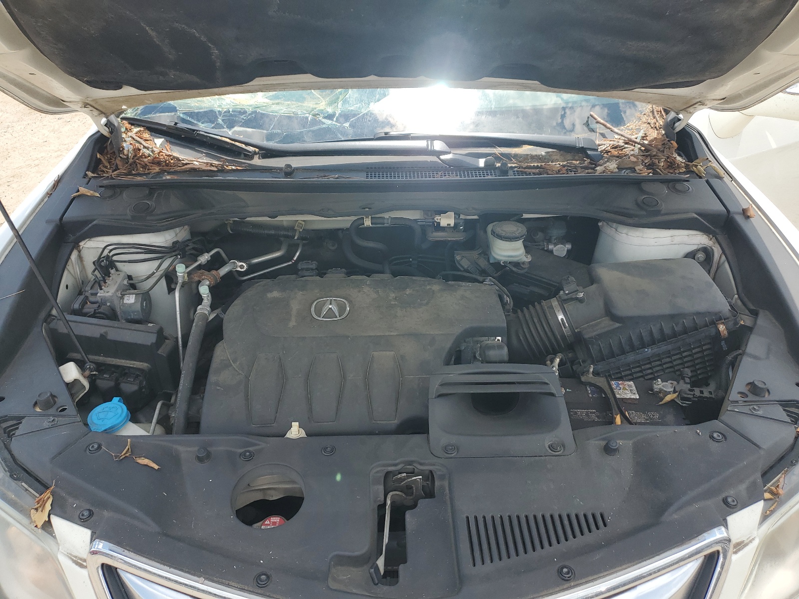 5J8TB4H57DL002834 2013 Acura Rdx Technology