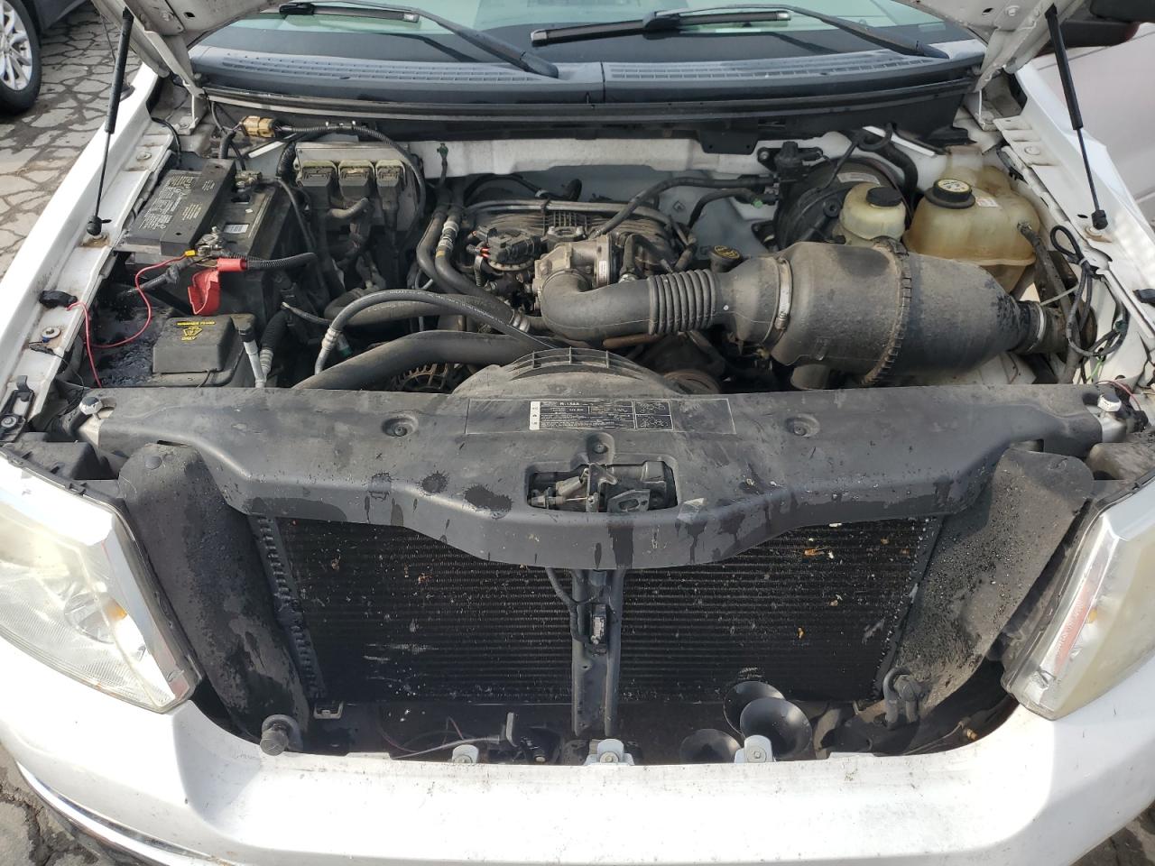 2005 Ford F150 VIN: 1FTRF12295NB64738 Lot: 65456674