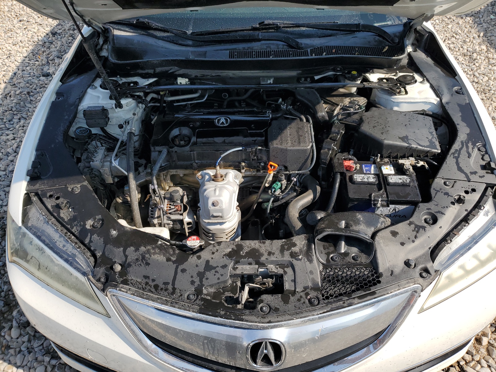 19UUB1F37FA012914 2015 Acura Tlx