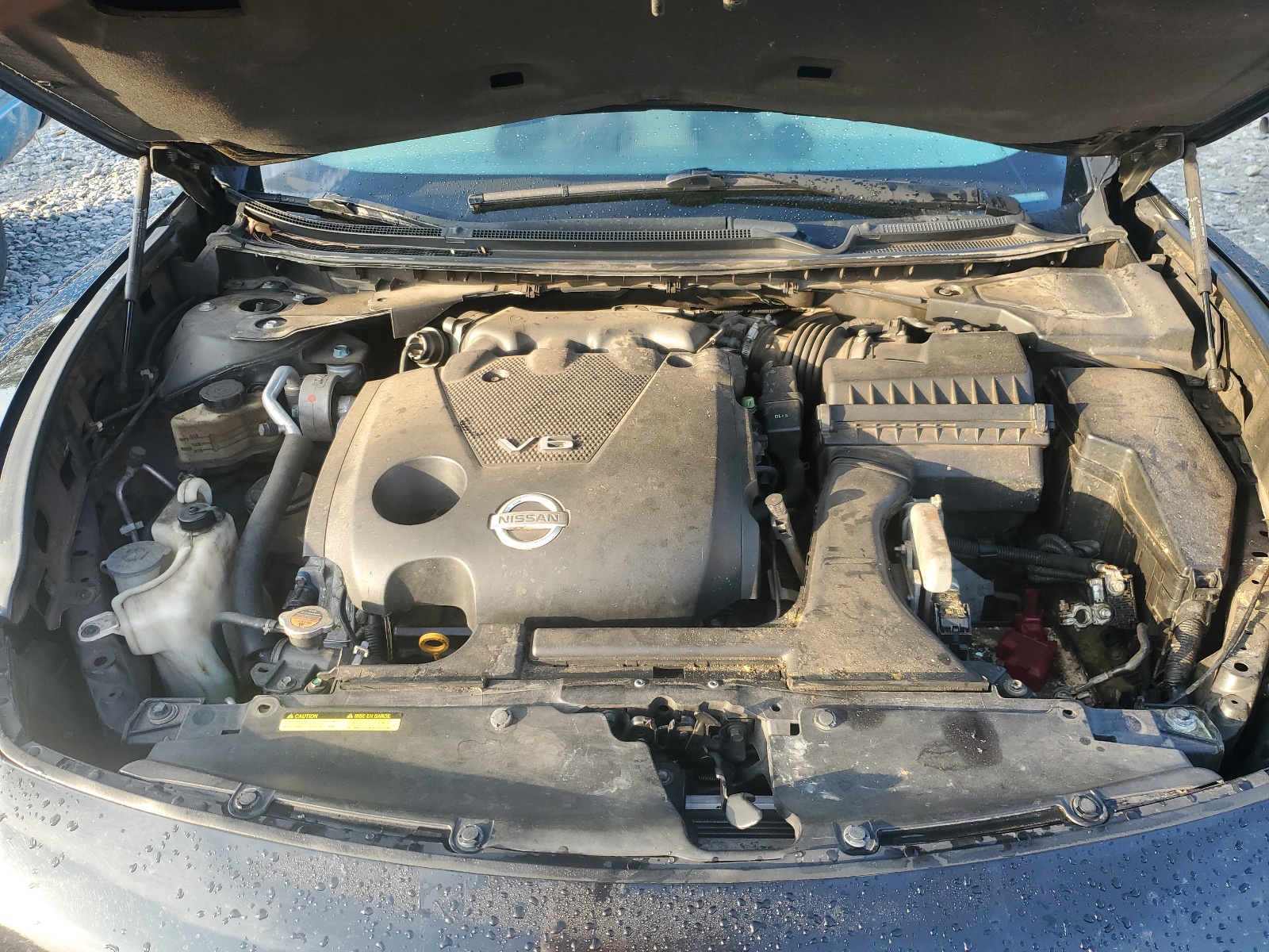 1N4AA51E89C846239 2009 Nissan Maxima S