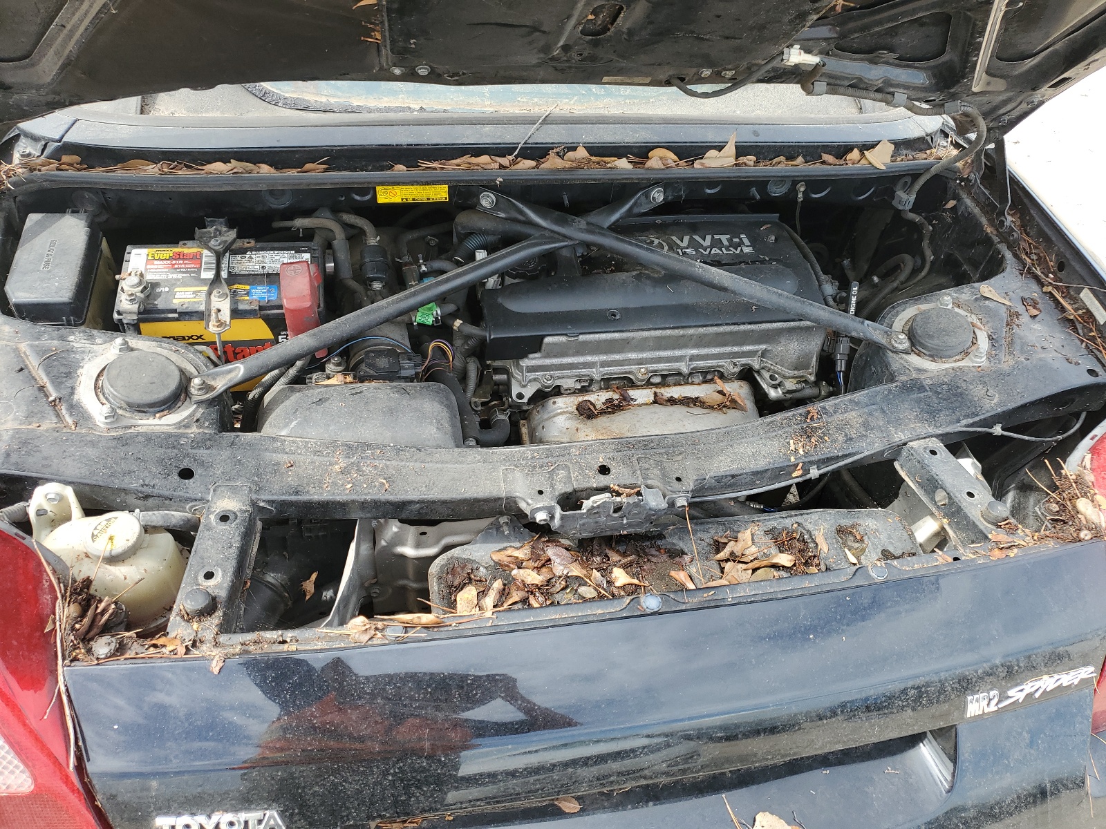 JTDFR320820051439 2002 Toyota Mr2 Spyder