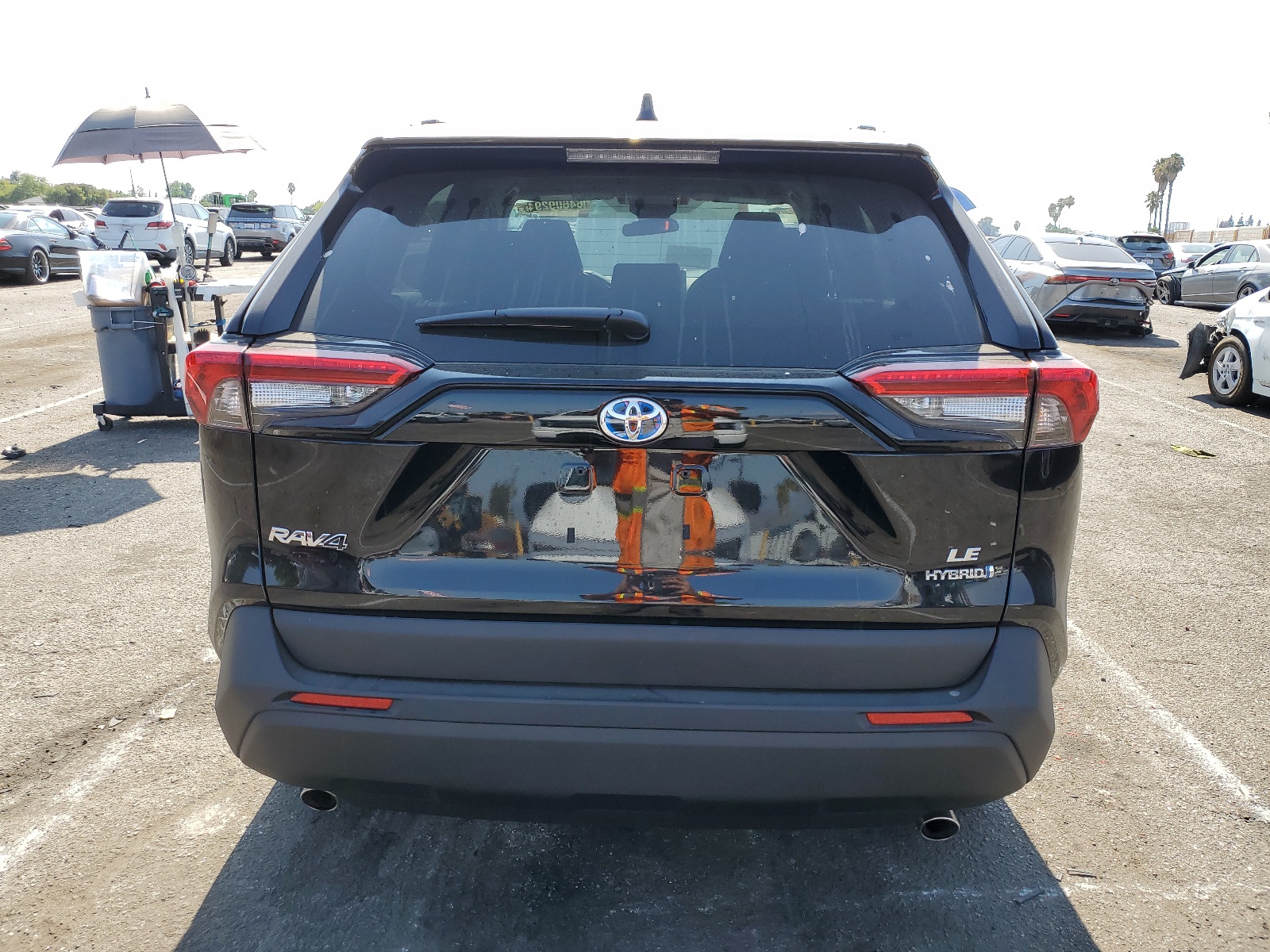 4T3LWRFV9RU144318 2024 Toyota Rav4 Le