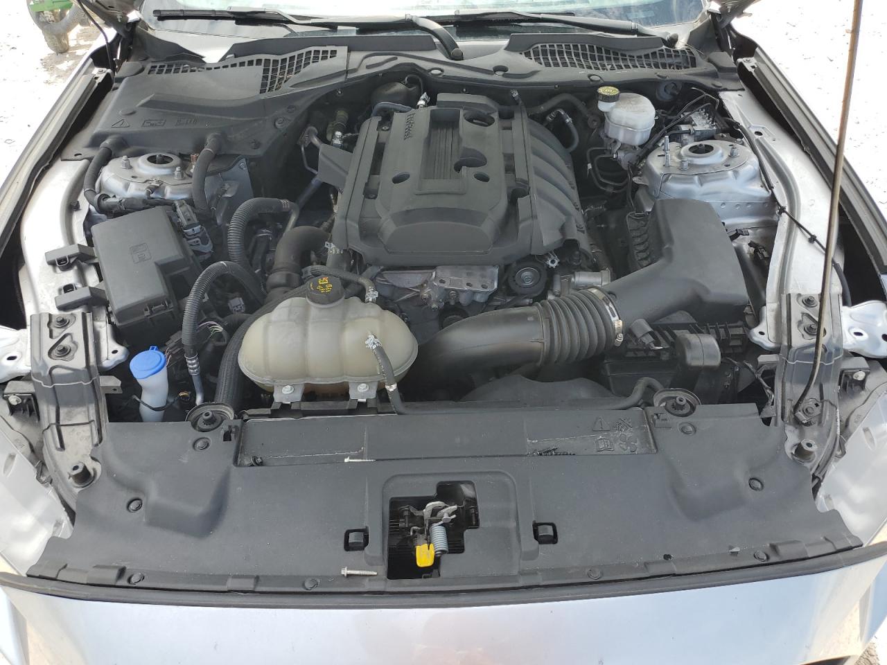 2020 Ford Mustang VIN: 1FA6P8TH2L5190578 Lot: 62520364