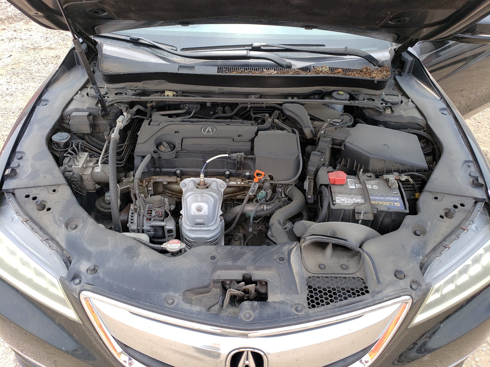 19UUB1F51GA009994 2016 Acura Tlx Tech