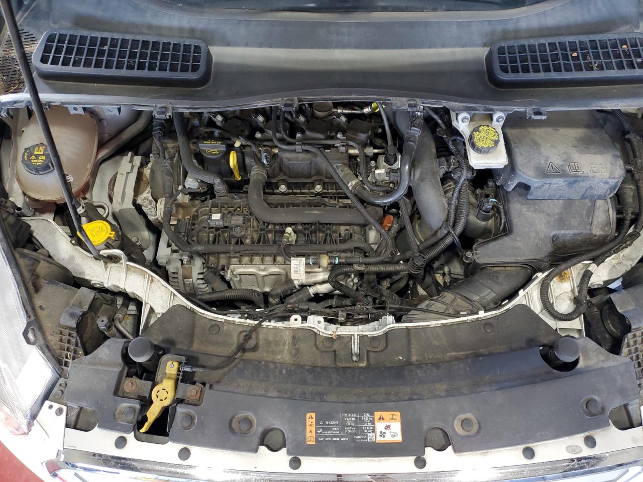 2019 Ford Escape Se VIN: 1FMCU9GD9KUB71383 Lot: 64742634