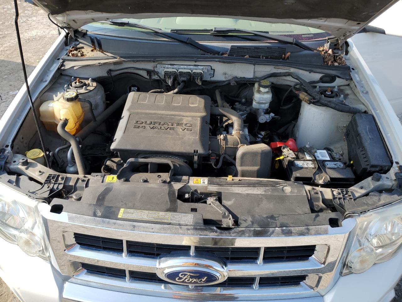 2009 Ford Escape Limited VIN: 1FMCU04G49KA18944 Lot: 65679754