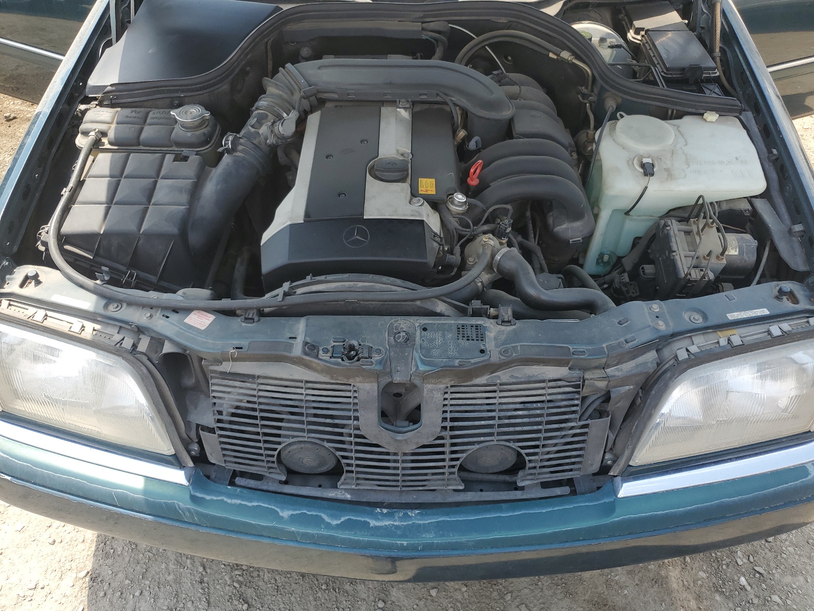 WDBHA28E4TF366247 1996 Mercedes-Benz C 280