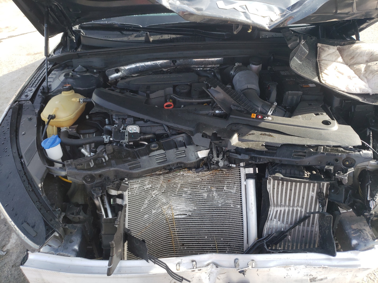 5XXG14J26RG264435 2024 Kia K5 Lxs