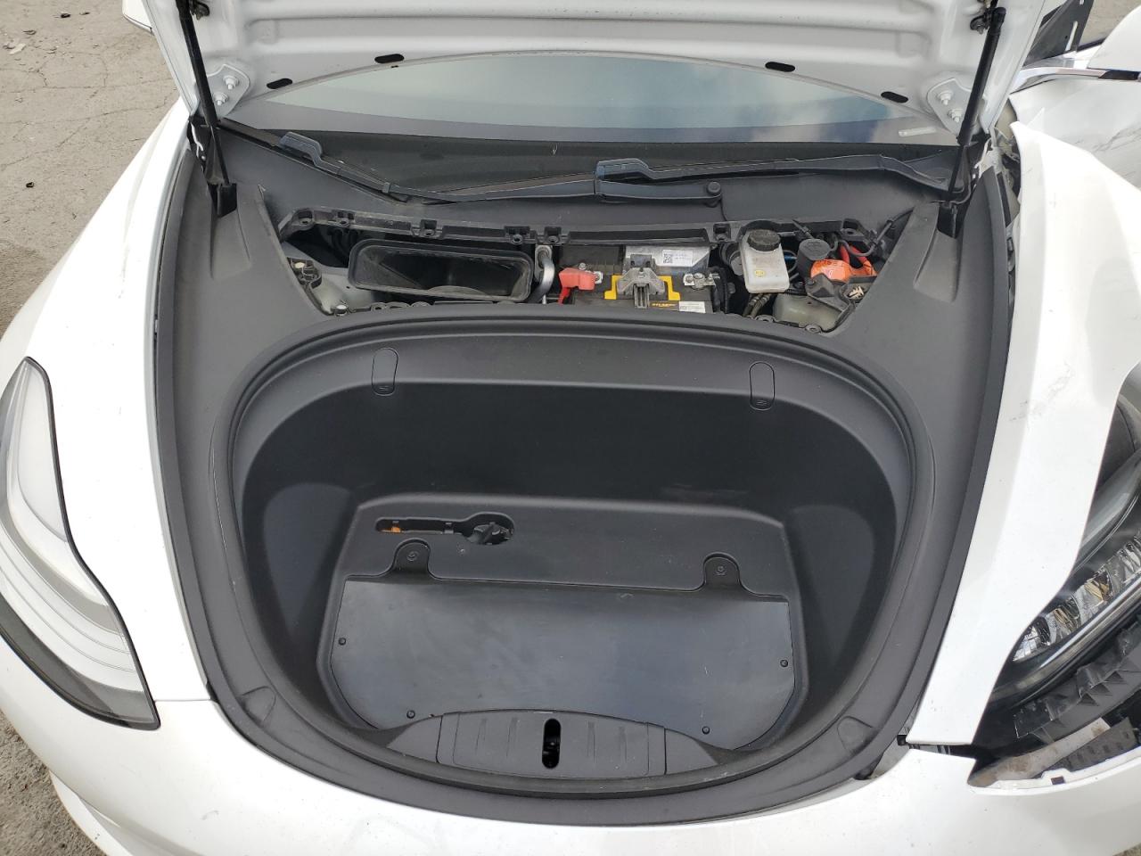 2019 Tesla Model 3 VIN: 5YJ3E1EA4KF301462 Lot: 63547754