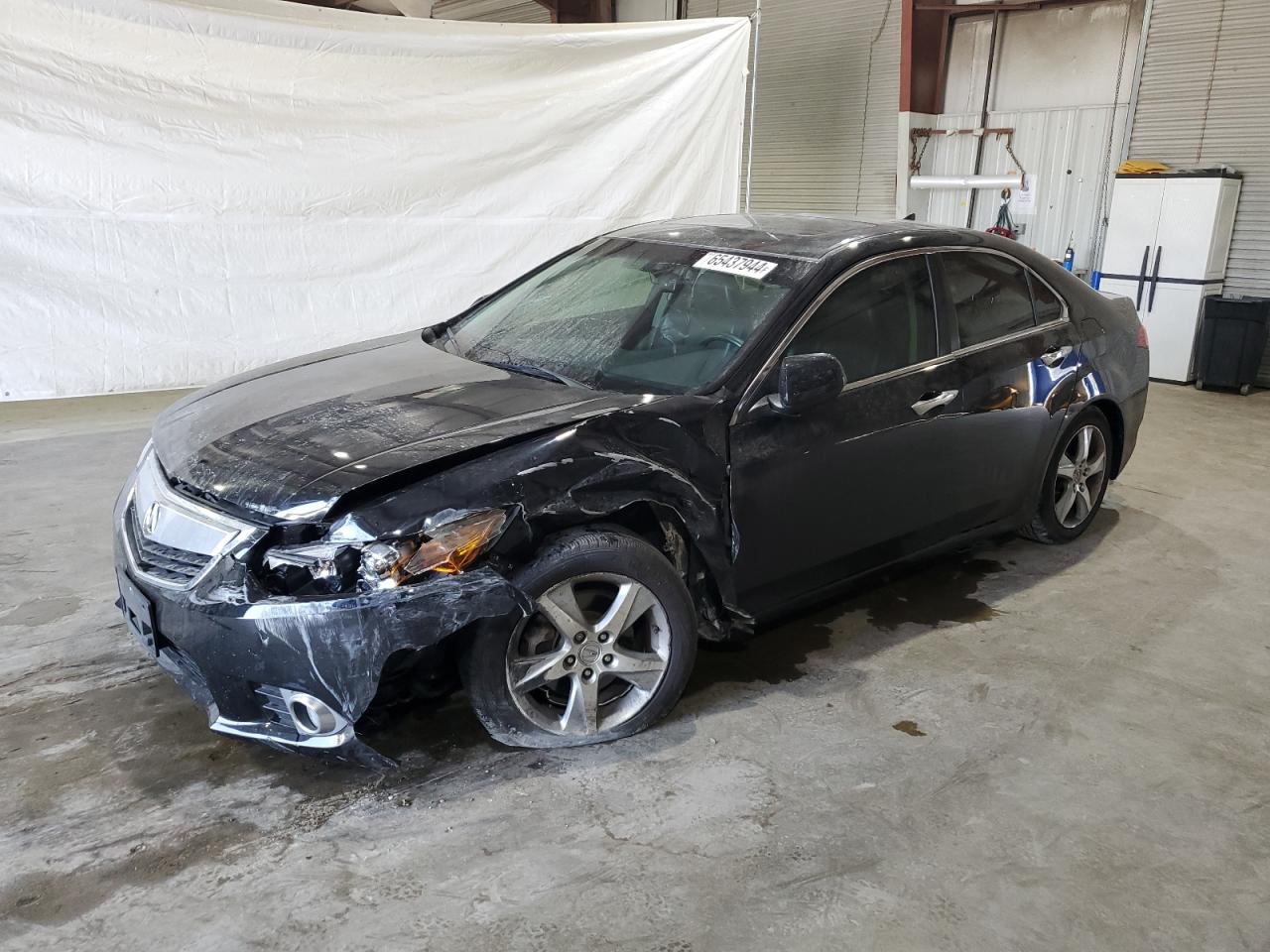 2013 Acura Tsx VIN: JH4CU2F43DC003646 Lot: 65437944