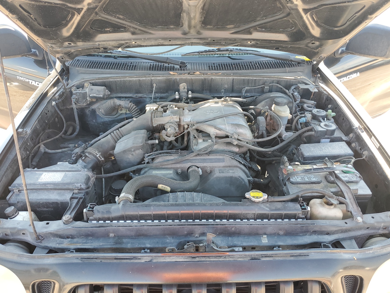 5TESN92N51Z807364 2001 Toyota Tacoma Xtracab Prerunner