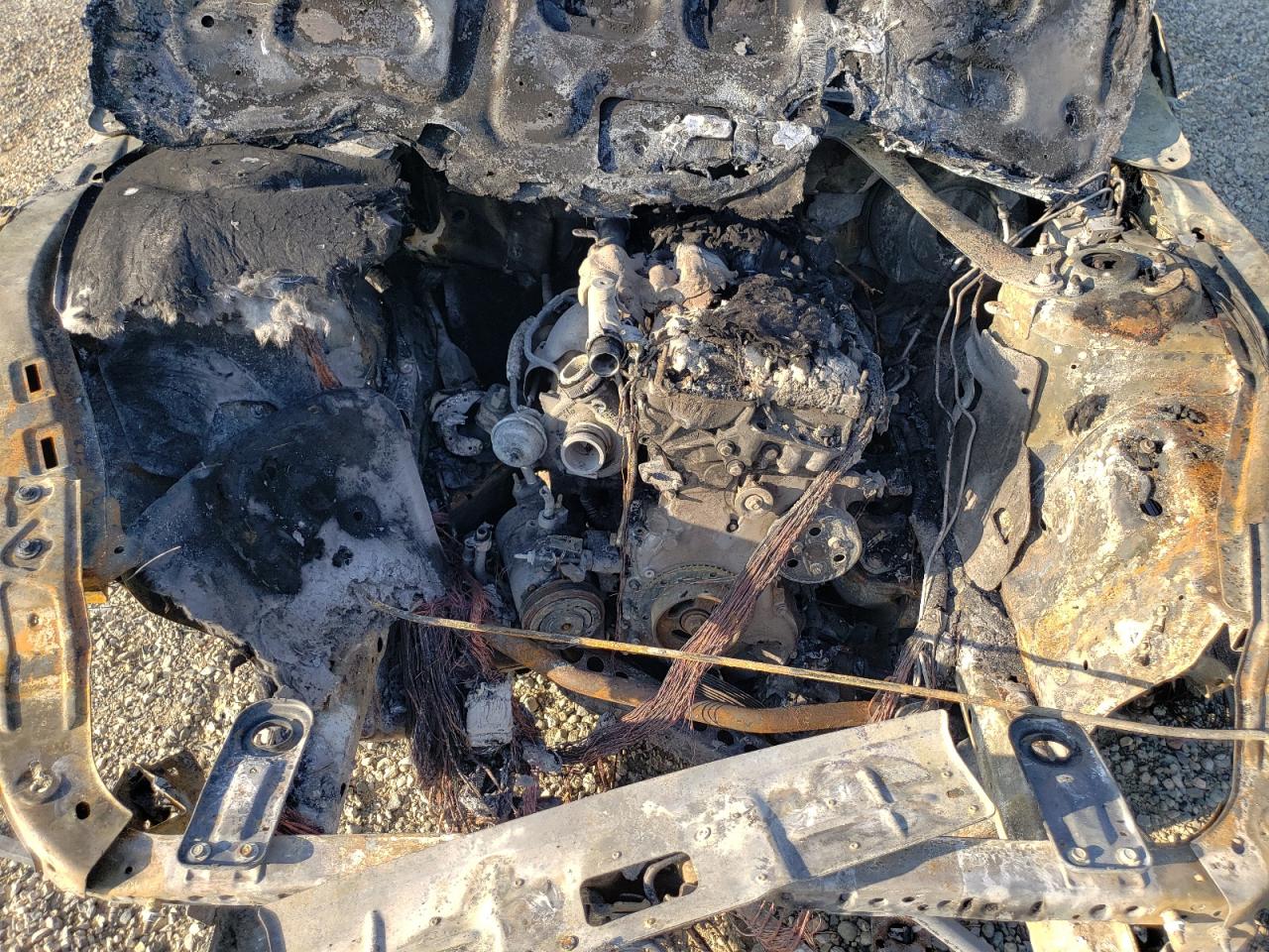 2020 Ford Mustang VIN: 1FATP8UH4L5125930 Lot: 63401894