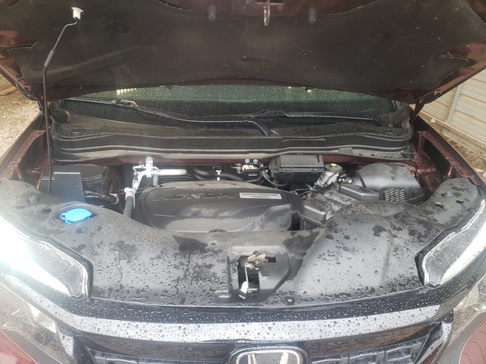 5FNYF7H59KB006216 2019 Honda Passport Exl