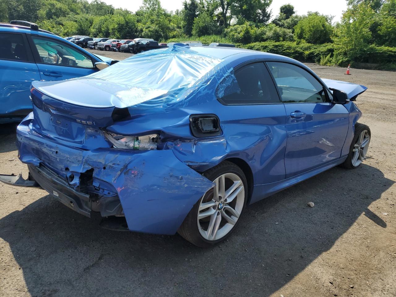 2015 BMW 228 Xi Sulev VIN: WBA1G9C59FVX96655 Lot: 62536094