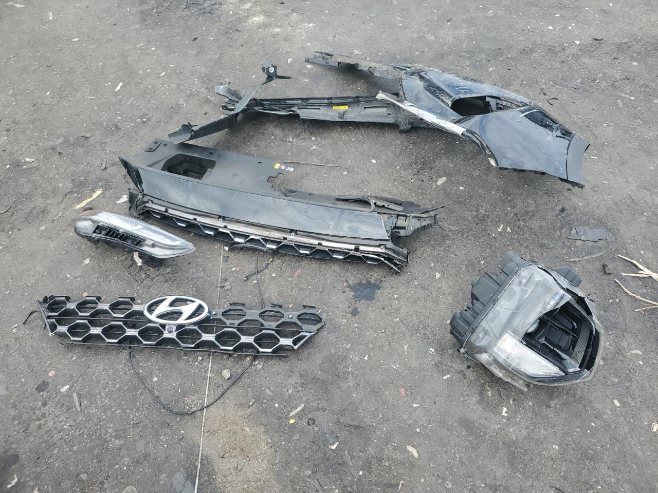 2020 Hyundai Santa Fe Limited VIN: 5NMS5CAD1LH214089 Lot: 63360234