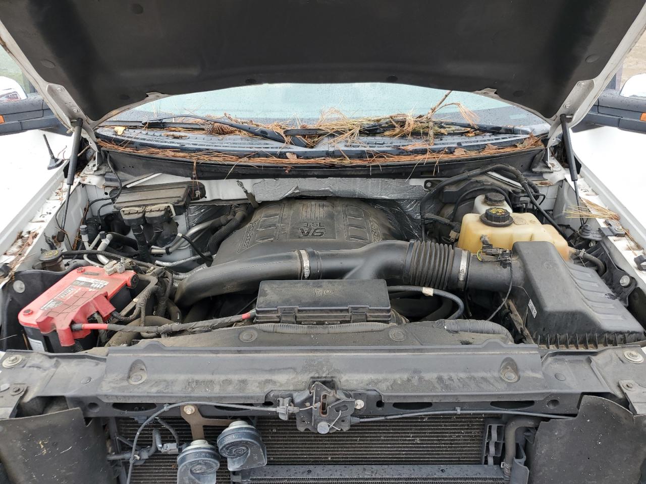 2012 Ford F150 Supercrew VIN: 1FTFW1ET5CFA82049 Lot: 63609114