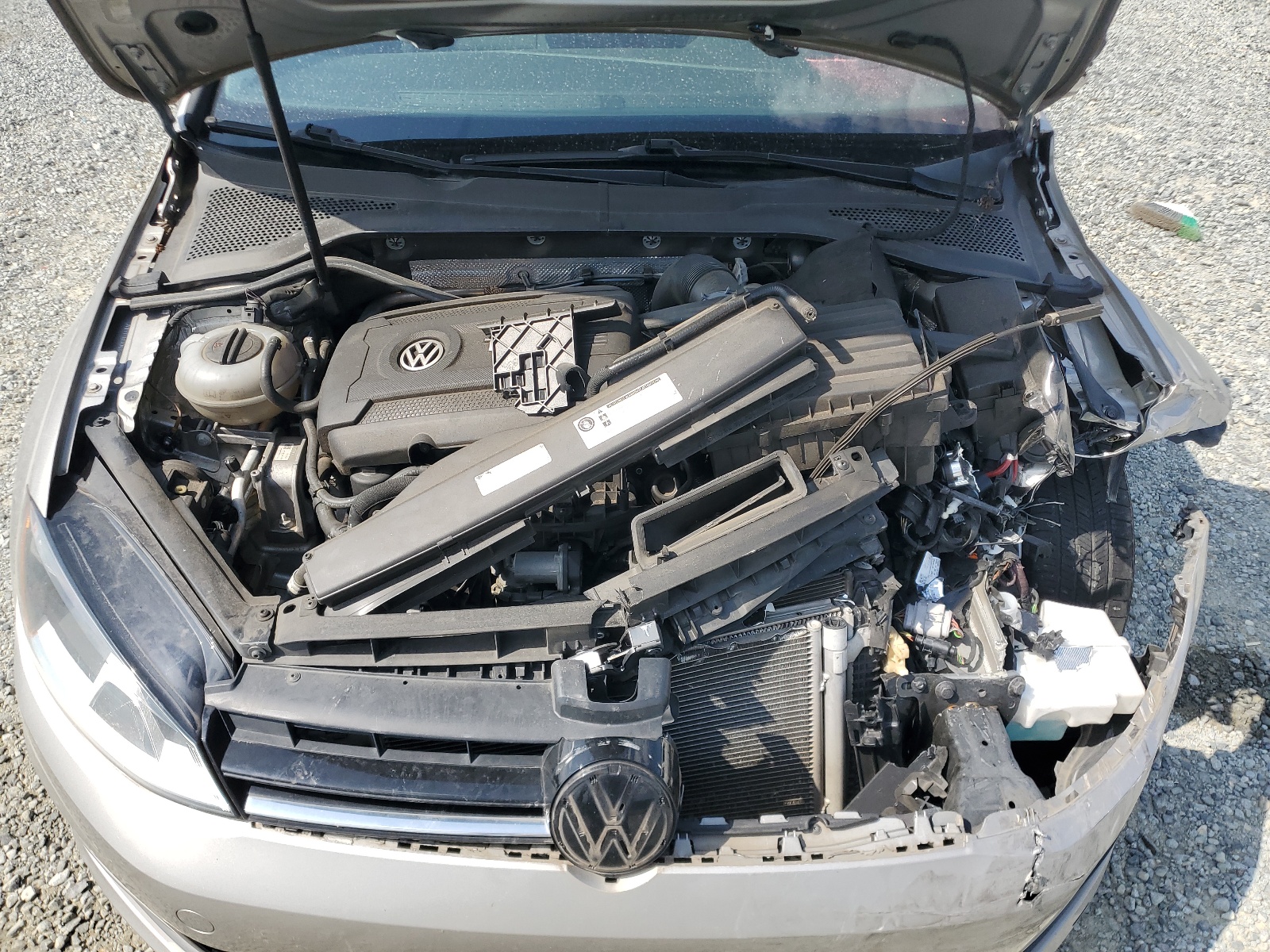 3VW117AU3GM060676 2016 Volkswagen Golf S