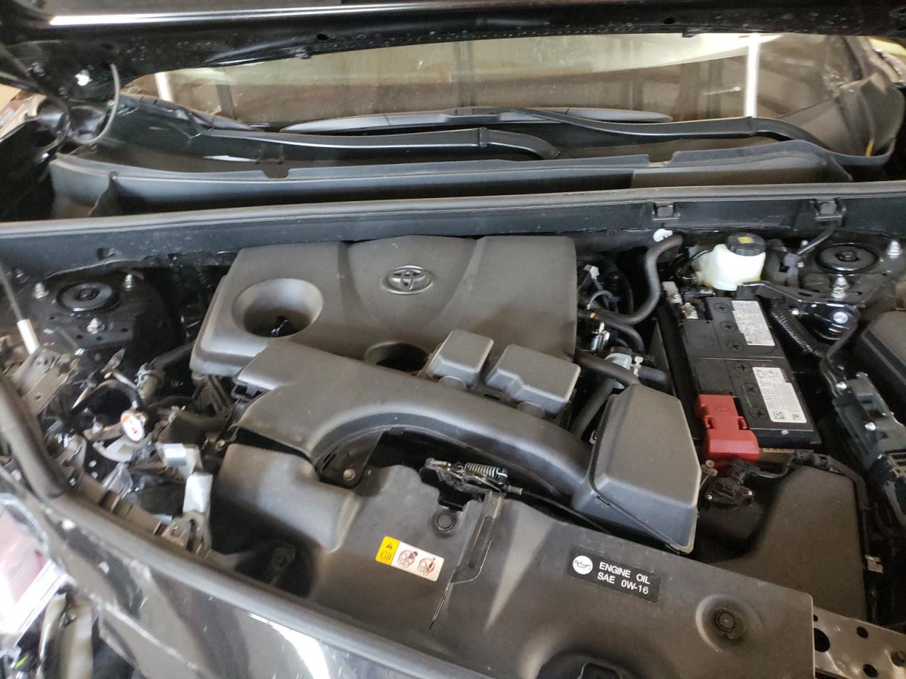 2024 Toyota Rav4 Xle VIN: 2T3W1RFV5RW333589 Lot: 64181914