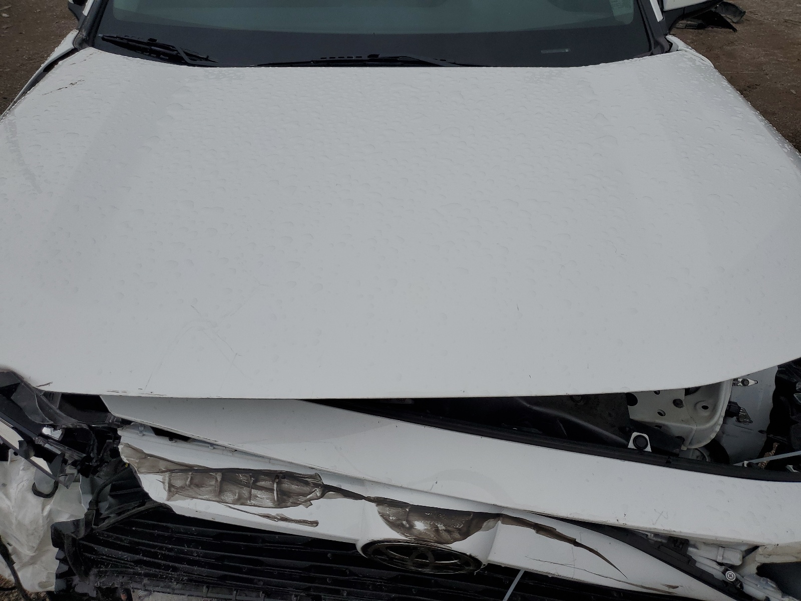 2T3W1RFV6MC143522 2021 Toyota Rav4 Xle