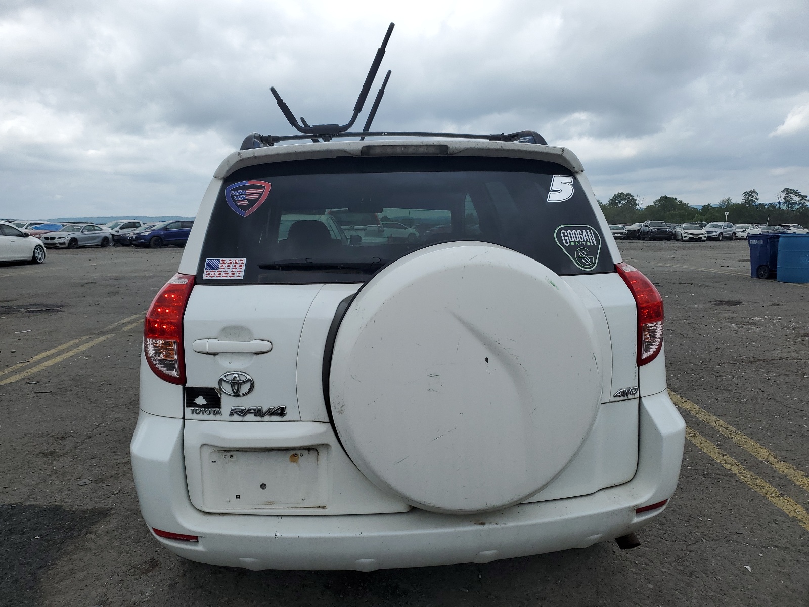 JTMBD33V666009992 2006 Toyota Rav4