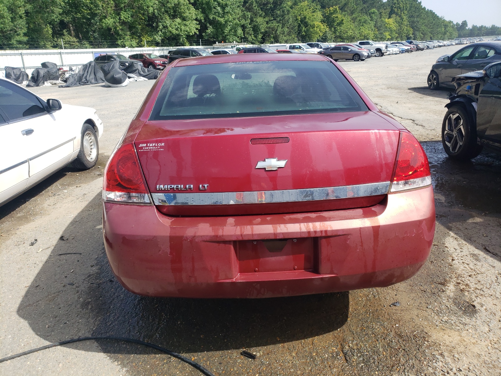 2G1WT58K969413451 2006 Chevrolet Impala Lt