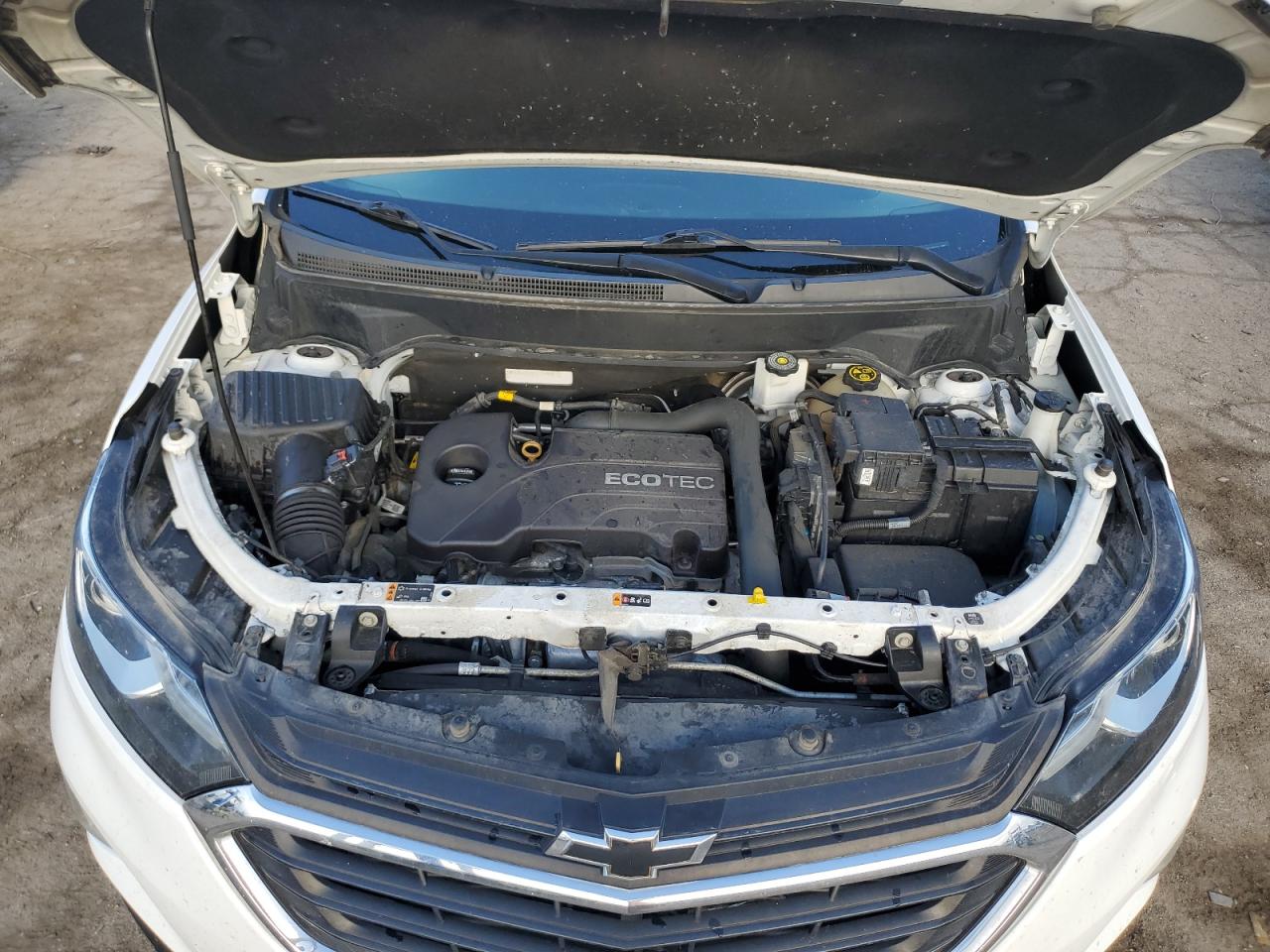 2GNAXSEV8K6159396 2019 Chevrolet Equinox Ls