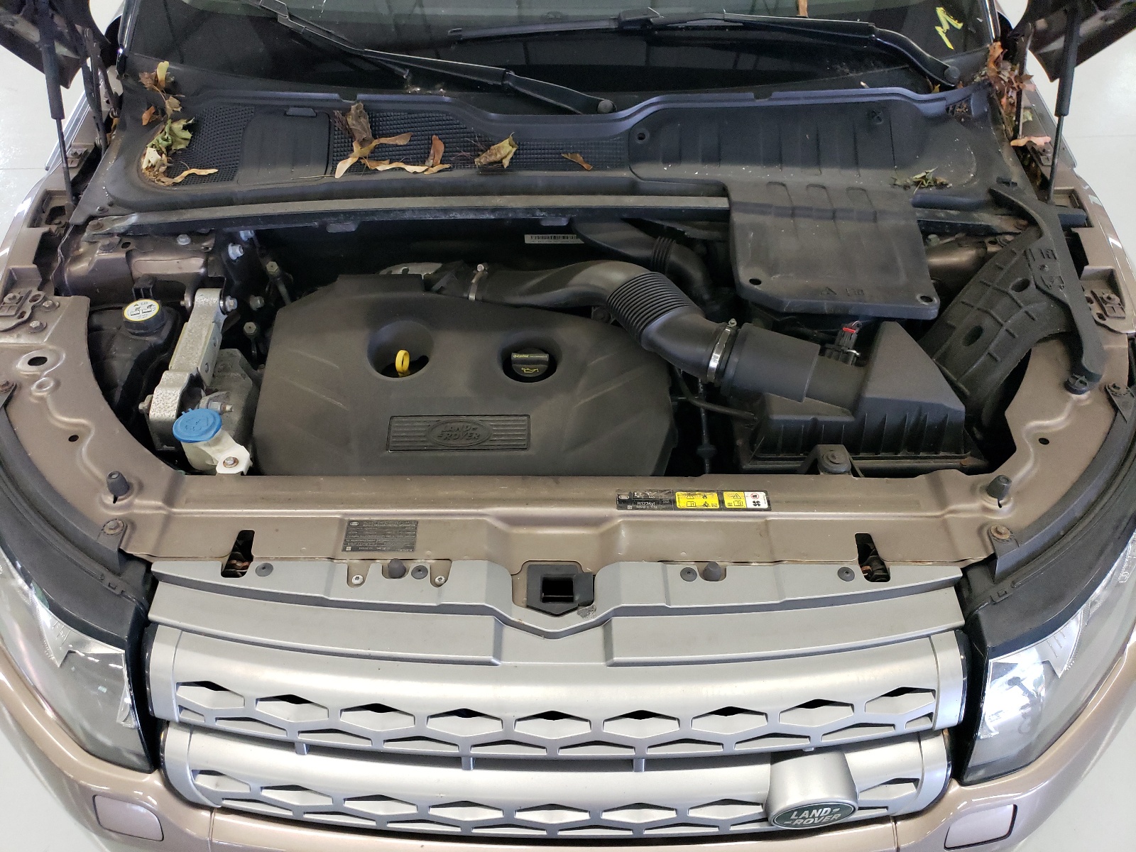 SALVR2BG5FH020703 2015 Land Rover Range Rover Evoque Pure Premium