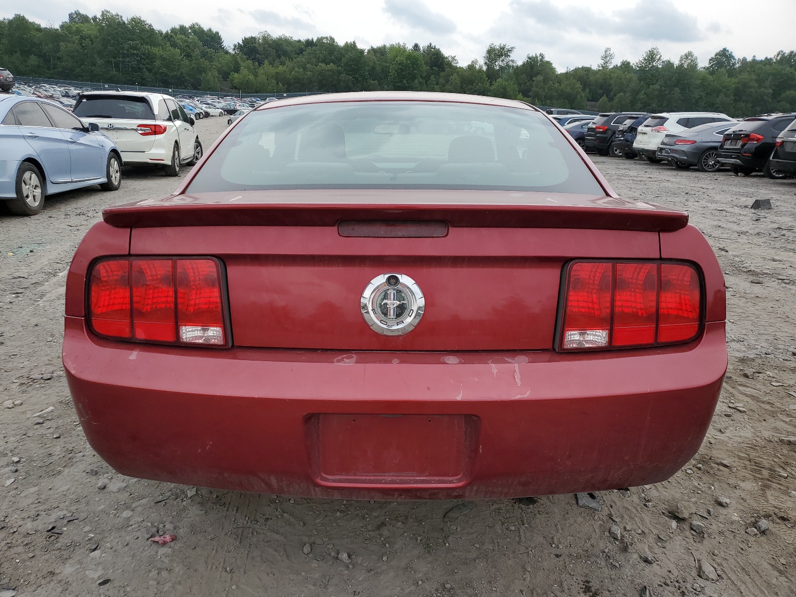 1ZVFT80N175255858 2007 Ford Mustang