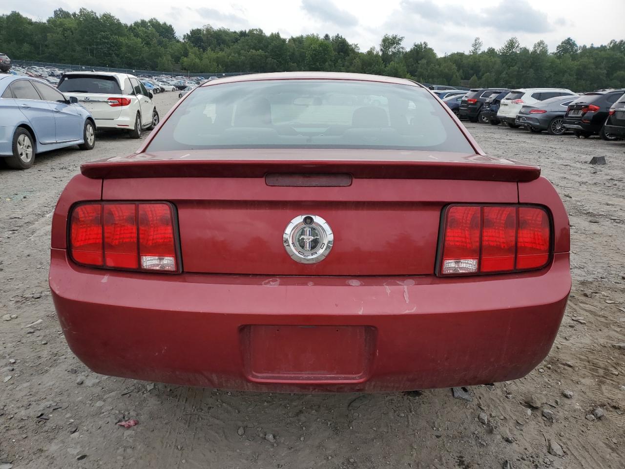 2007 Ford Mustang VIN: 1ZVFT80N175255858 Lot: 63692174