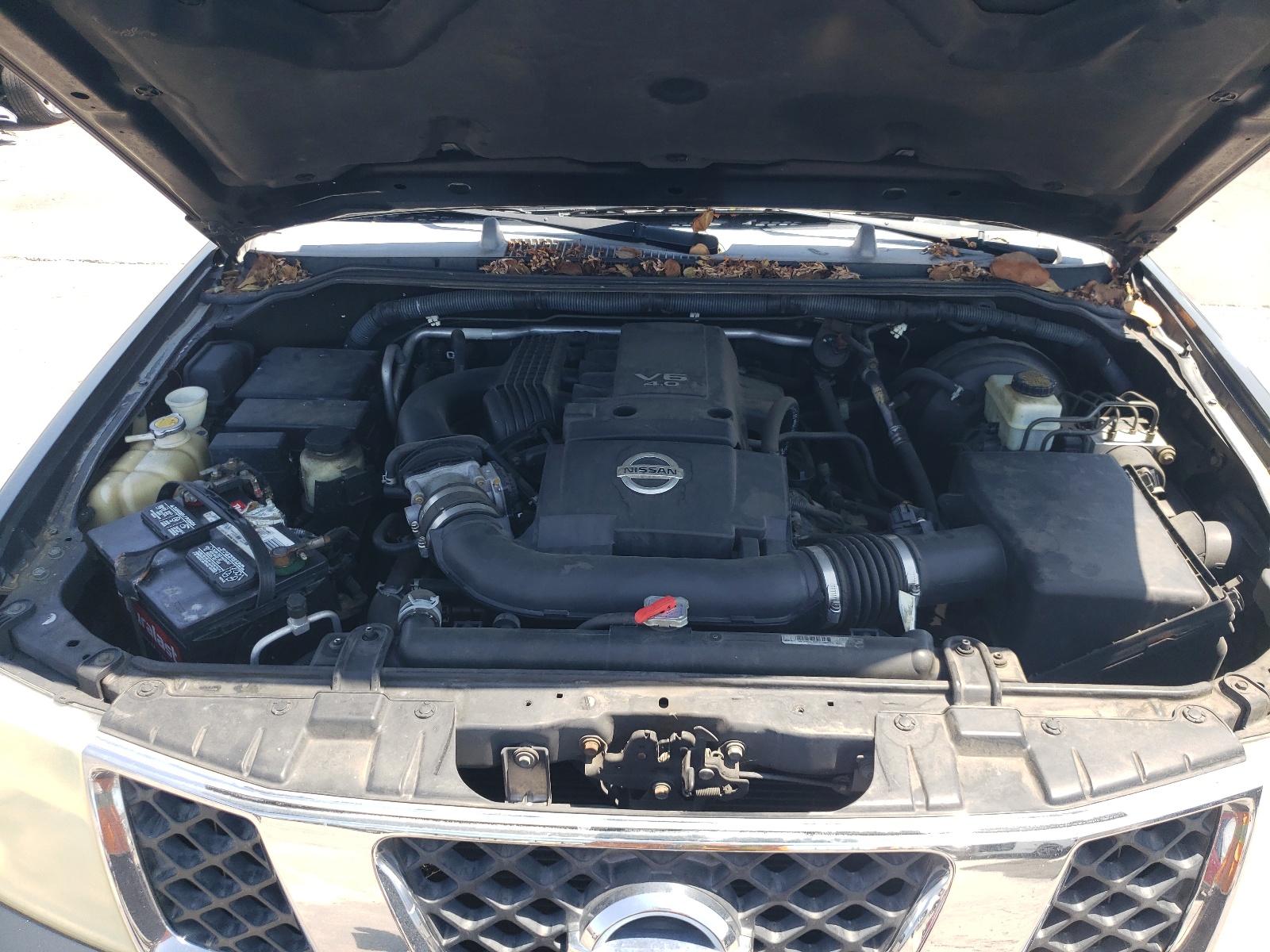 5N1AR18U66C672851 2006 Nissan Pathfinder Le