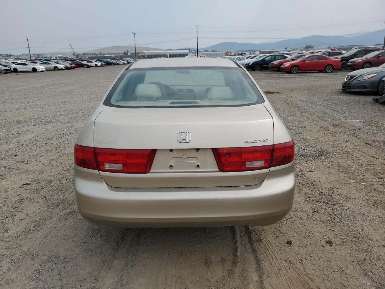 2005 Honda Accord Ex VIN: 1HGCM567X5A007673 Lot: 65468494