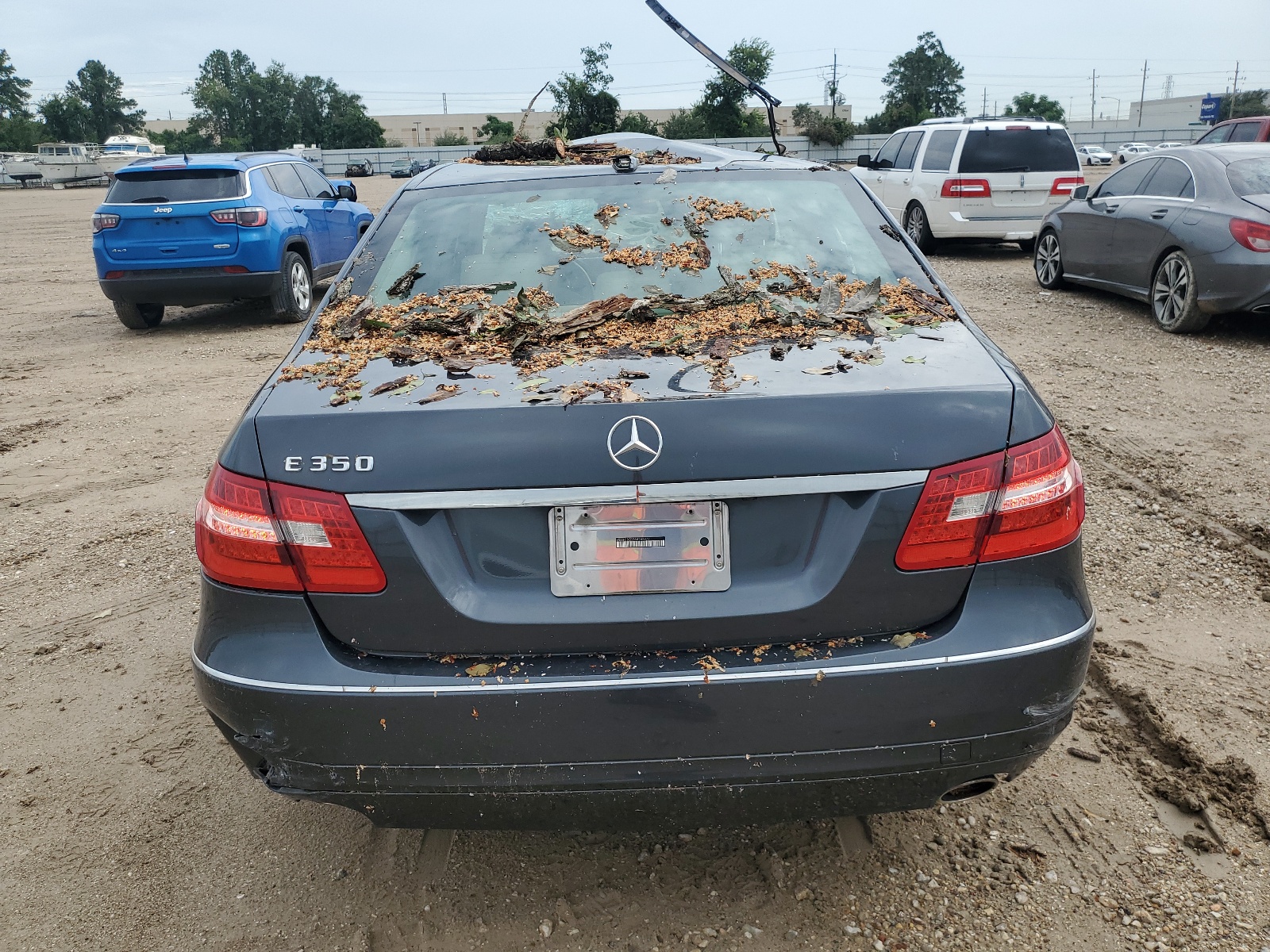 WDDHF5GB2AA243977 2010 Mercedes-Benz E 350