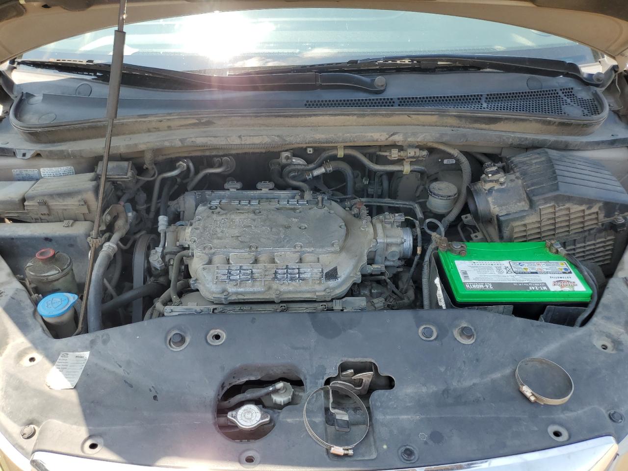 2007 Honda Odyssey Exl VIN: 5FNRL38617B412089 Lot: 63229844