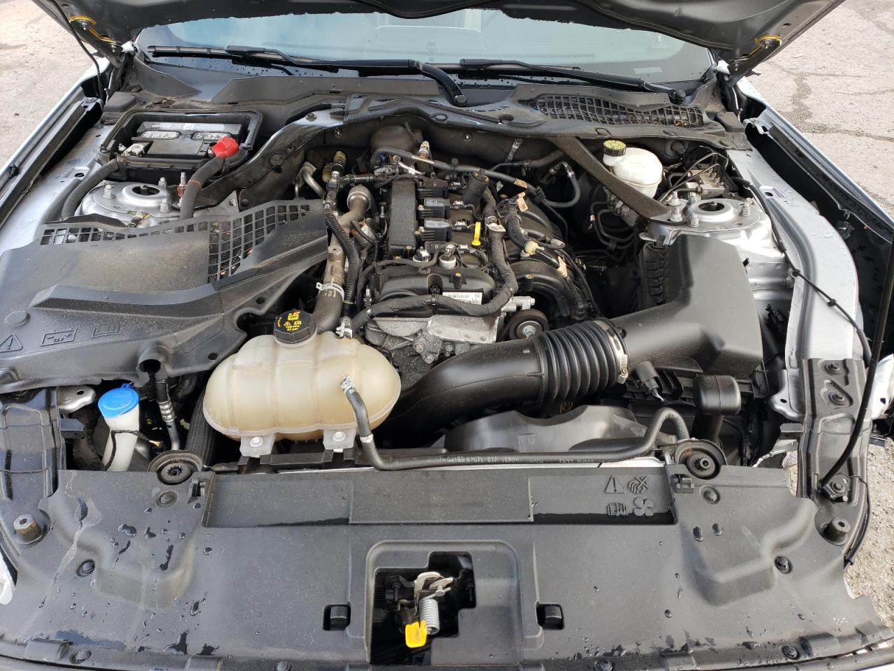 2021 Ford Mustang VIN: 1FATP8UH3M5111681 Lot: 63670824