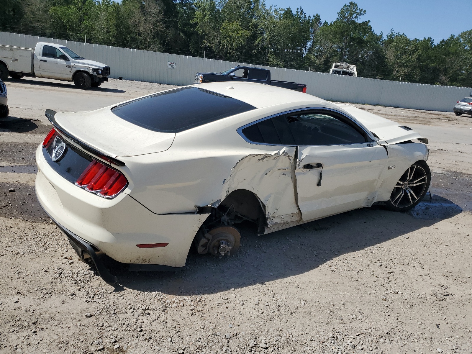 2015 Ford Mustang 50Th Anniversary vin: 1FA6P8RF6F5501813