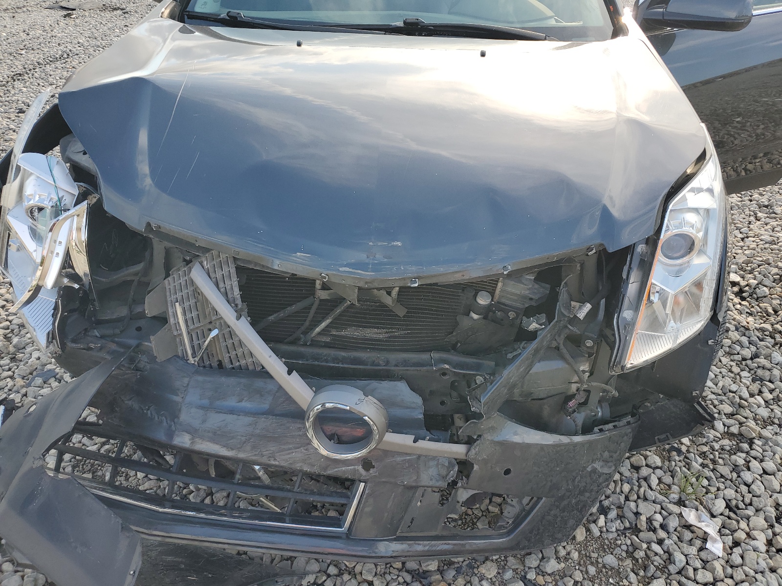 3GYFNAEYXBS629691 2011 Cadillac Srx Luxury Collection