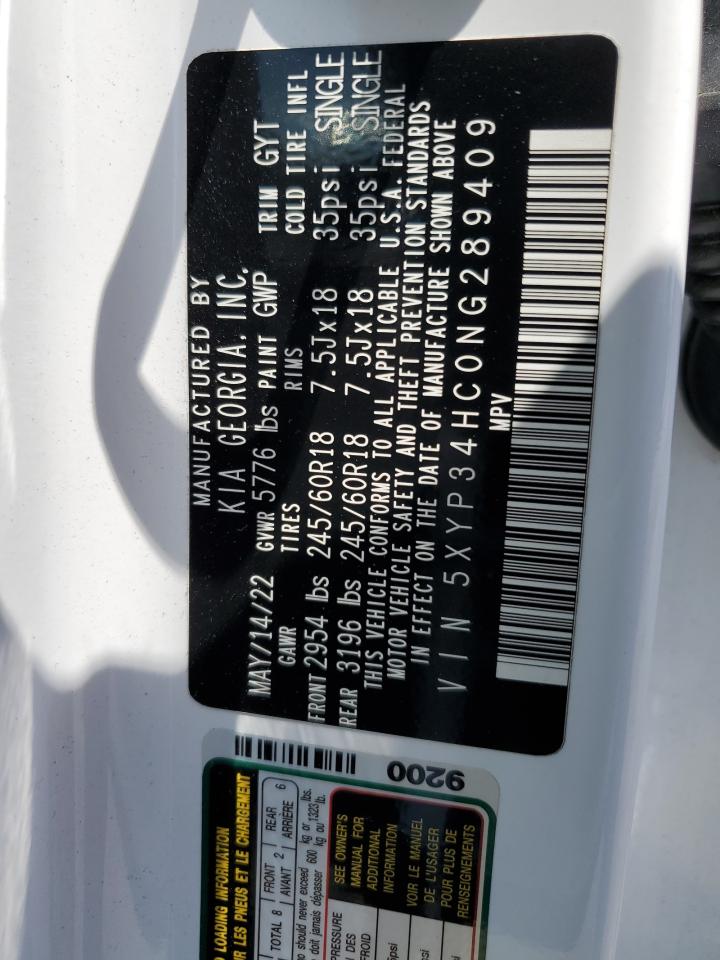 2022 Kia Telluride Ex VIN: 5XYP34HC0NG289409 Lot: 62469104