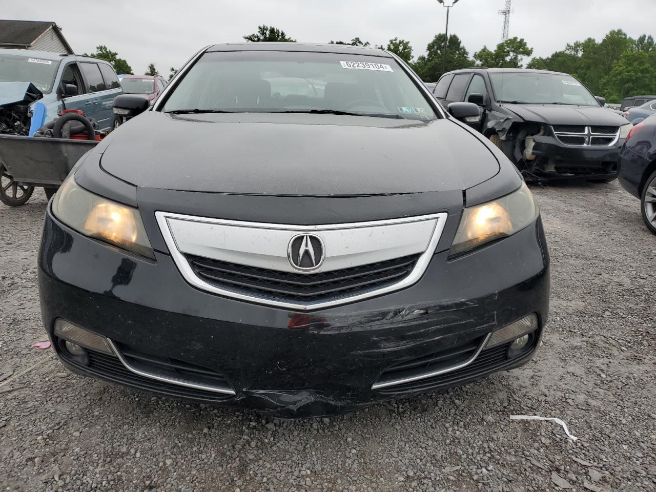 2012 Acura Tl VIN: 19UUA8F26CA034403 Lot: 62239104