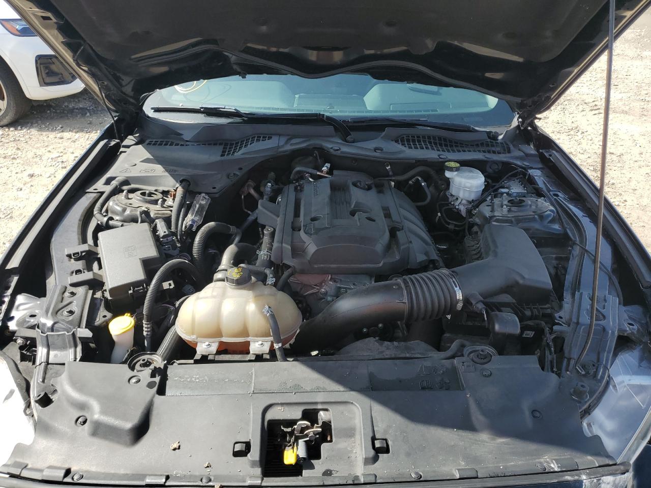 2020 Ford Mustang VIN: 1FA6P8TH0L5175089 Lot: 64397404