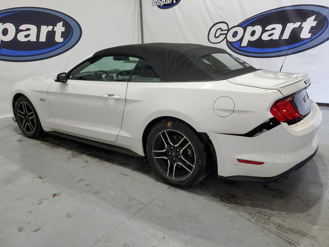 2019 Ford Mustang Gt VIN: 1FATP8FF6K5126037 Lot: 62530634