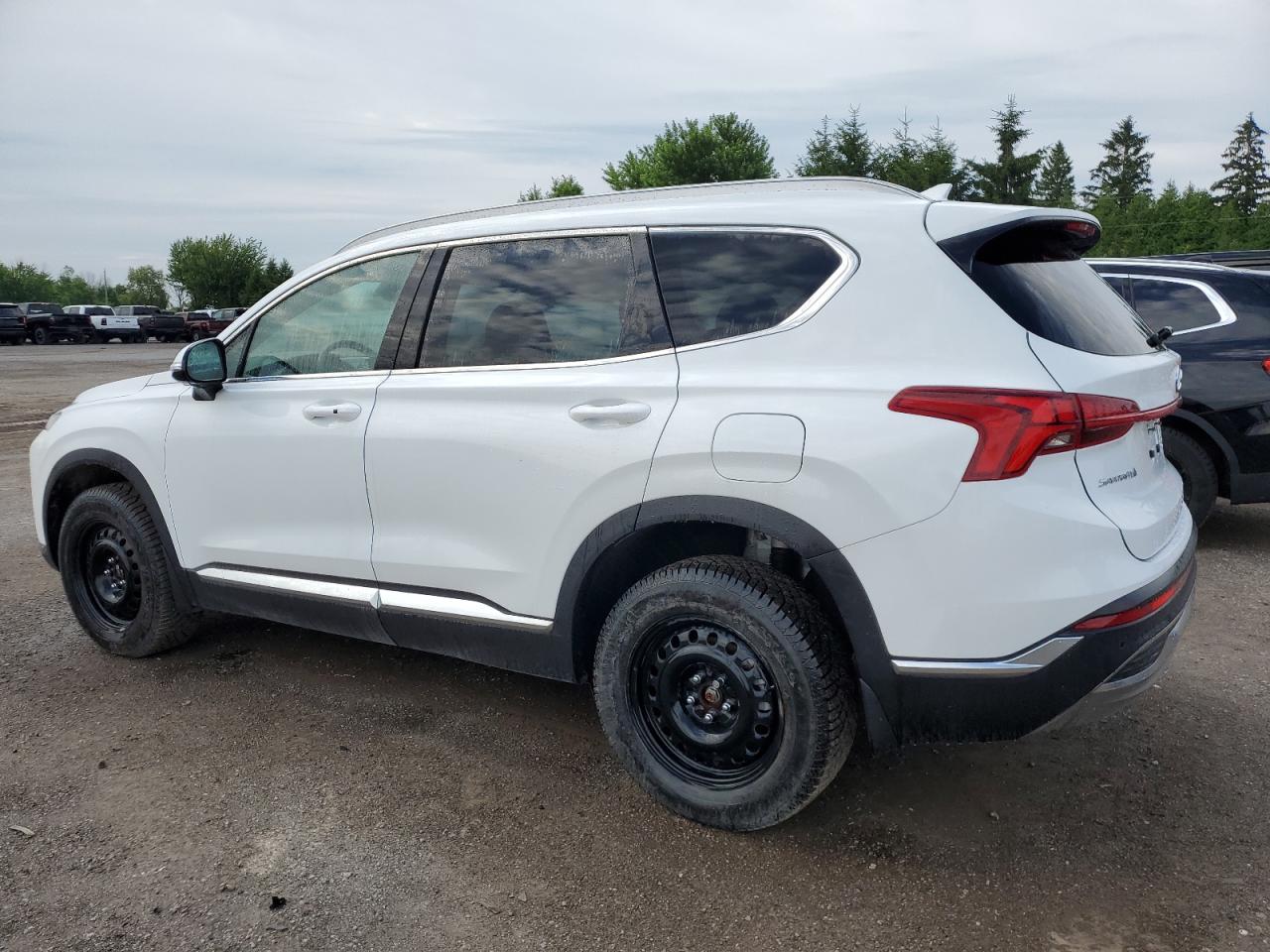 2023 Hyundai Santa Fe Sel Premium VIN: 5NMS3DAJ6PH646149 Lot: 61489924