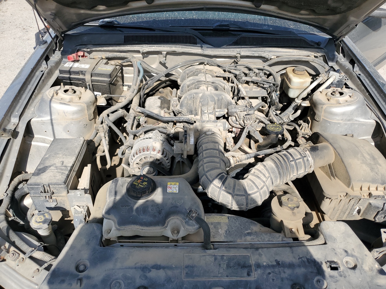 1ZVHT80N485191647 2008 Ford Mustang