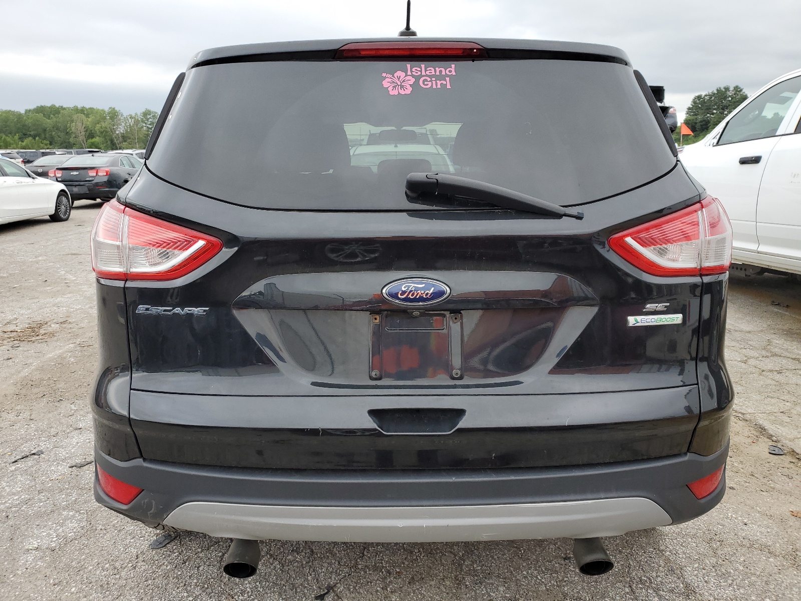 1FMCU0GX2EUC66295 2014 Ford Escape Se